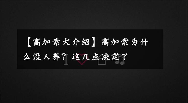 【高加索犬介绍】高加索为什么没人养？这几点决定了