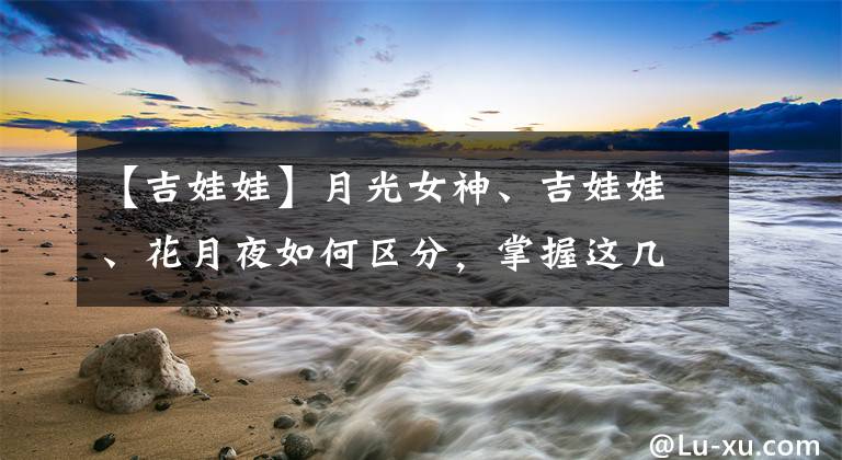 【吉娃娃】月光女神、吉娃娃、花月夜如何区分,掌握这几点,再也不会认错了