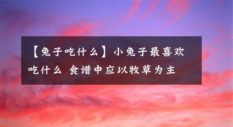 【兔子吃什么】小兔子最喜欢吃什么 食谱中应以牧草为主
