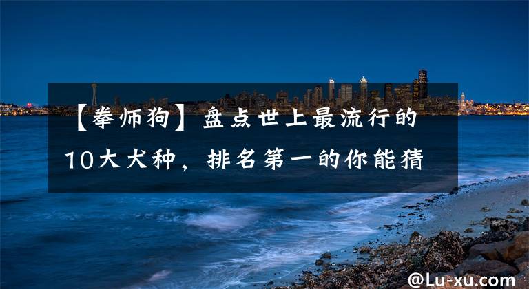 【拳师狗】盘点世上最流行的10大犬种，排名第一的你能猜到吗？