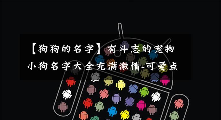 【狗狗的名字】有斗志的宠物小狗名字大全充满激情-可爱点