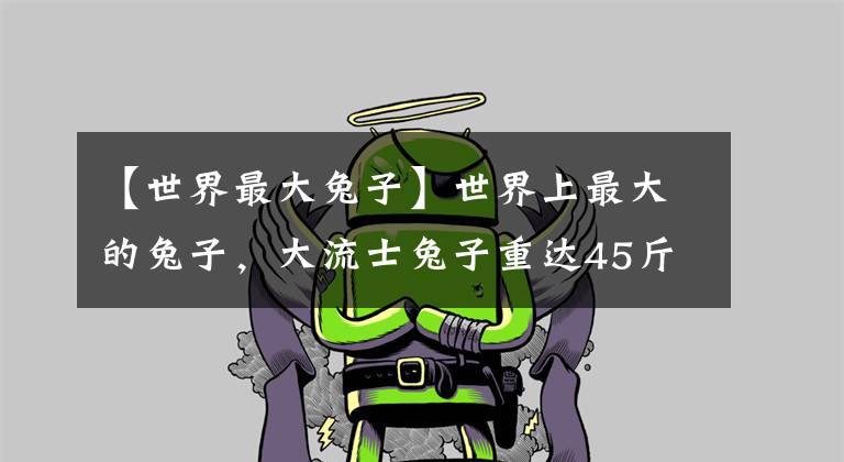 【世界最大兔子】世界上最大的兔子,大流士兔子重达45斤(一年吃4320根胡萝卜)