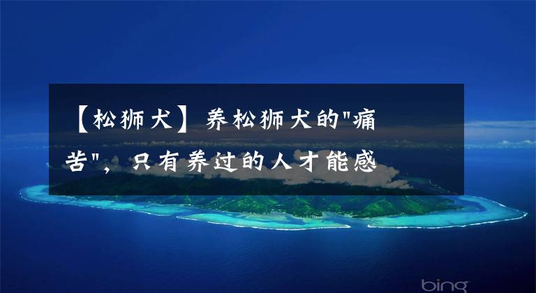 【松狮犬】养松狮犬的"痛苦"，只有养过的人才能感同身受