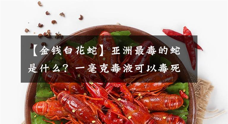 【金钱白花蛇】亚洲最毒的蛇是什么?一毫克毒液可以毒死20人