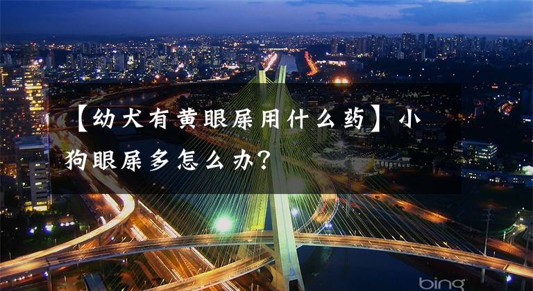 【幼犬有黄眼屎用什么药】小狗眼屎多怎么办？