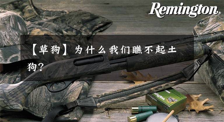 【草狗】为什么我们瞧不起土狗？