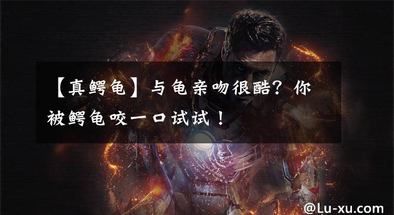 【真鳄龟】与龟亲吻很酷?你被鳄龟咬一口试试!