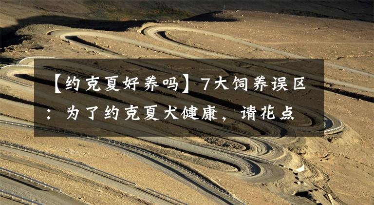 【约克夏好养吗】7大饲养误区：为了约克夏犬健康，请花点时间看完