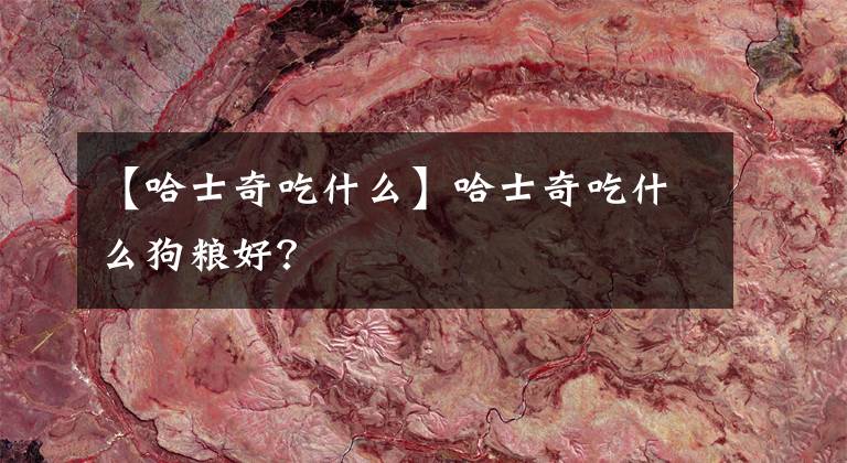 【哈士奇吃什么】哈士奇吃什么狗粮好？