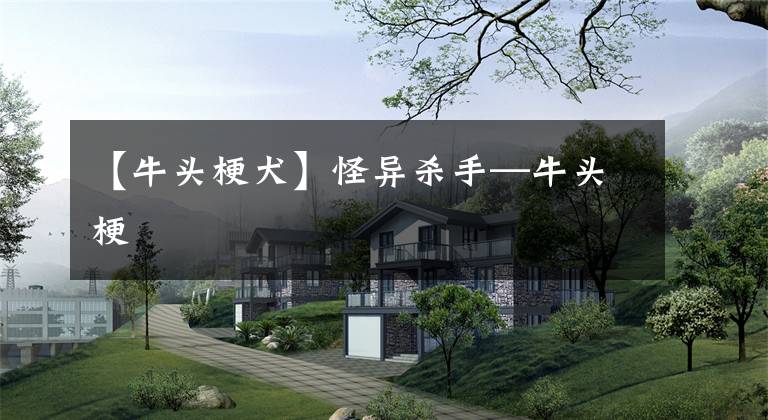 【牛头梗犬】怪异杀手—牛头梗