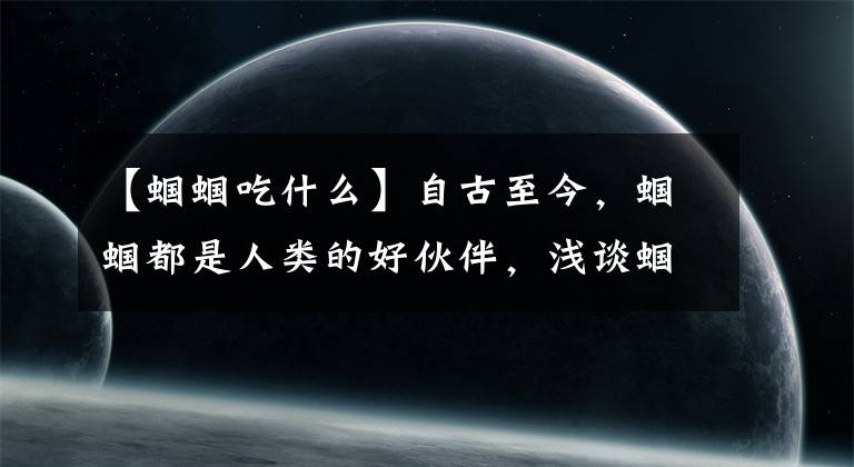 【蝈蝈吃什么】自古至今,蝈蝈都是人类的好伙伴,浅谈蝈蝈的历史与饲养