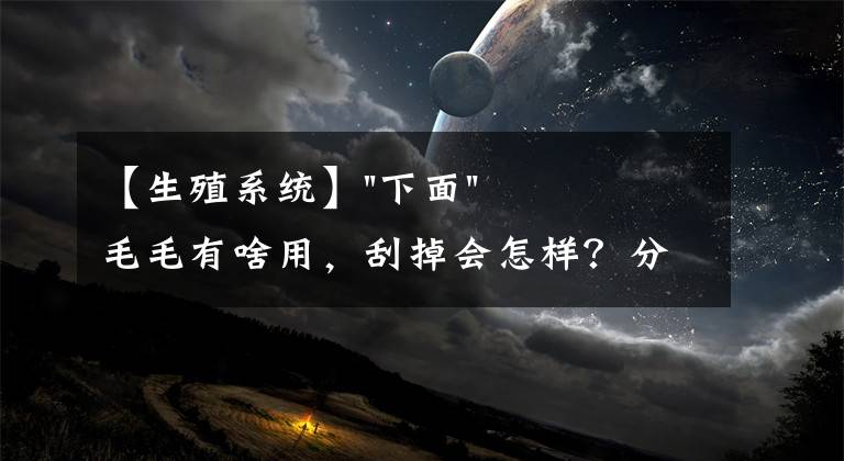 【生殖系统】"下面"毛毛有啥用,刮掉会怎样?分析了这几点,你就明白了