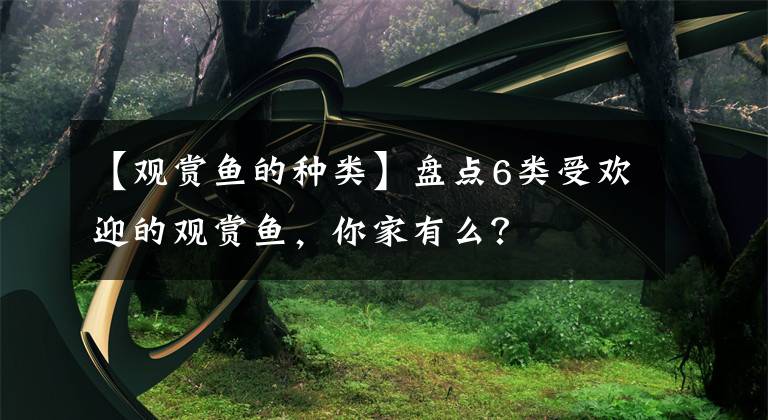 【观赏鱼的种类】盘点6类受欢迎的观赏鱼，你家有么？