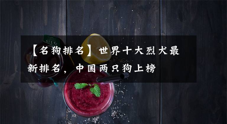【名狗排名】世界十大烈犬最新排名，中国两只狗上榜