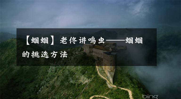 【蝈蝈】老佟讲鸣虫——蝈蝈的挑选方法