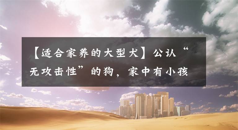 【适合家养的大型犬】公认“无攻击性”的狗,家中有小孩首选