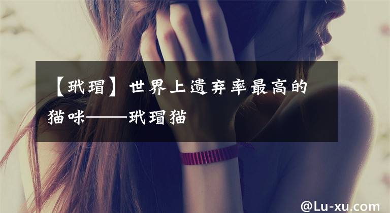 【玳瑁】世界上遗弃率最高的猫咪——玳瑁猫