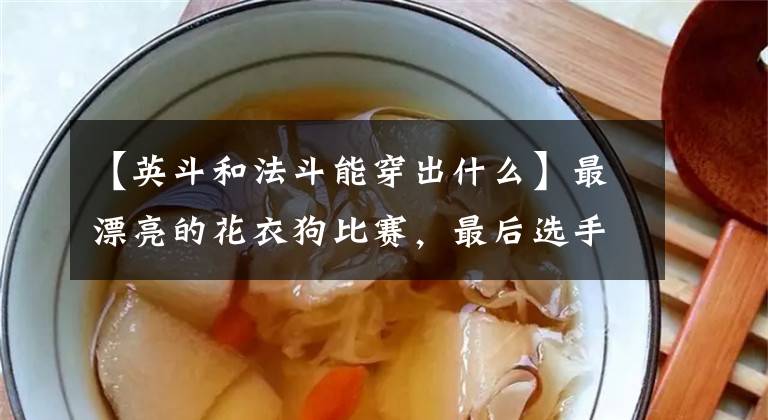 【英斗和法斗能穿出什么】最漂亮的花衣狗比赛,最后选手的花裤亮了