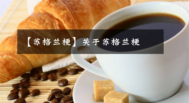 【苏格兰梗】关于苏格兰梗