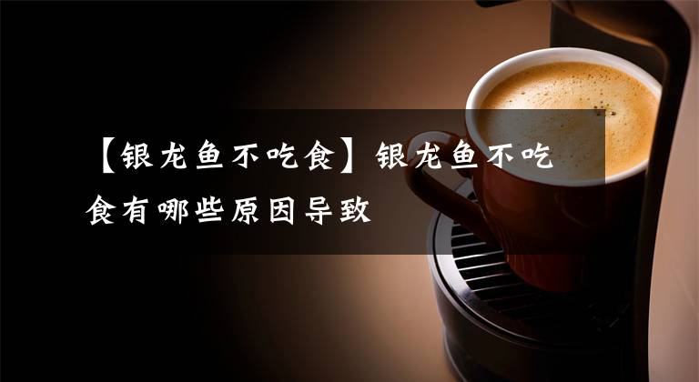 【银龙鱼不吃食】银龙鱼不吃食有哪些原因导致