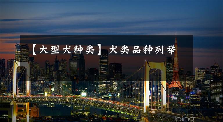 【大型犬种类】犬类品种列举