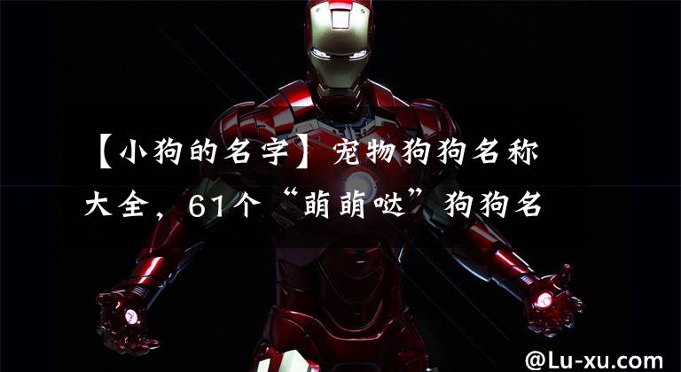 【小狗的名字】宠物狗狗名称大全,61个“萌萌哒”狗狗名,赶紧收藏