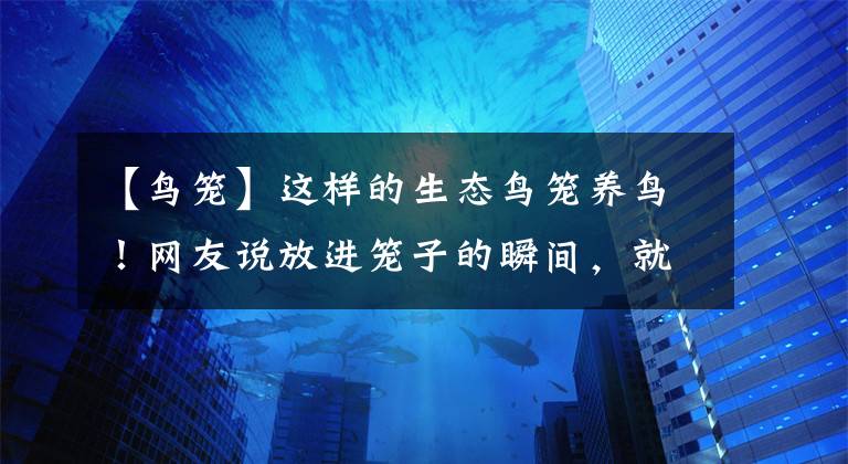【鸟笼】这样的生态鸟笼养鸟!网友说放进笼子的瞬间,就成野生的啦