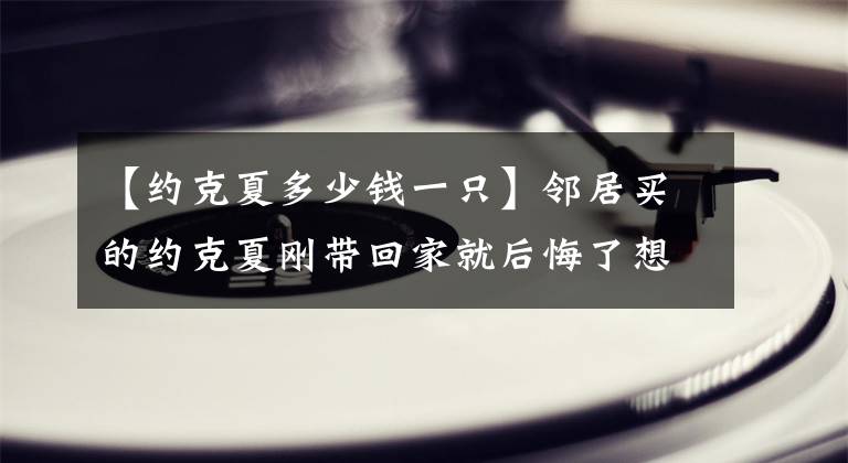 【约克夏多少钱一只】邻居买的约克夏刚带回家就后悔了想要弃养，这句话让她打消了念头