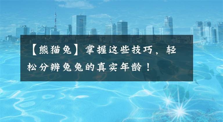 【熊猫兔】掌握这些技巧，轻松分辨兔兔的真实年龄！