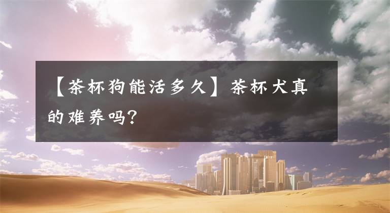 【茶杯狗能活多久】茶杯犬真的难养吗？