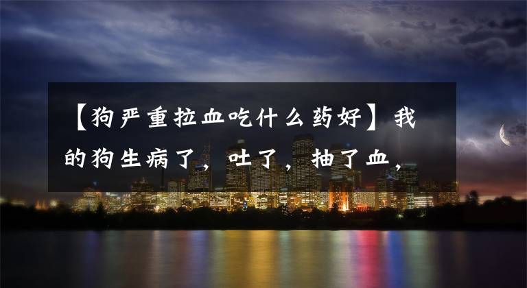 【狗严重拉血吃什么药好】我的狗生病了，吐了，抽了血，不知道是不是很小？简单的治疗又活蹦乱跳了。
