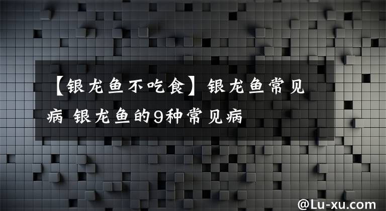 【银龙鱼不吃食】银龙鱼常见病 银龙鱼的9种常见病