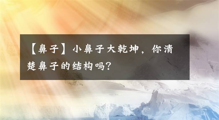 【鼻子】小鼻子大乾坤，你清楚鼻子的结构吗？