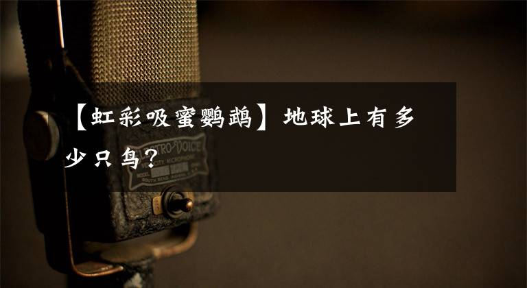 【虹彩吸蜜鹦鹉】地球上有多少只鸟？