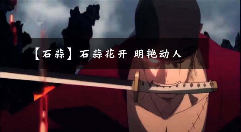 【石蒜】石蒜花开 明艳动人