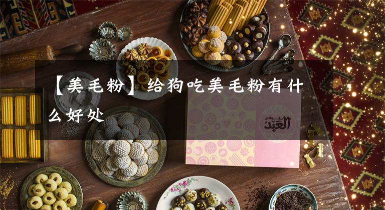 【美毛粉】给狗吃美毛粉有什么好处