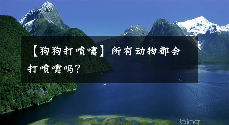 【狗狗打喷嚏】所有动物都会打喷嚏吗？