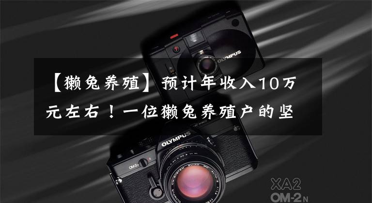 【獭兔养殖】预计年收入10万元左右！一位獭兔养殖户的坚守与自豪