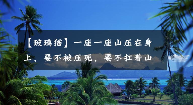 【玻璃猫】一座一座山压在身上，要不被压死，要不扛着山去填海