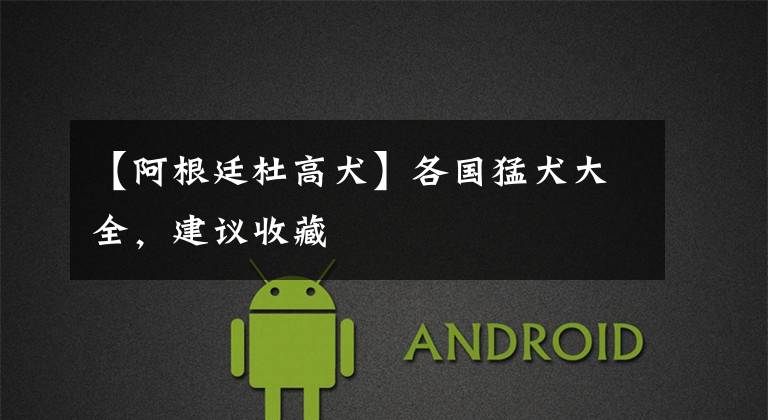 【阿根廷杜高犬】各国猛犬大全，建议收藏