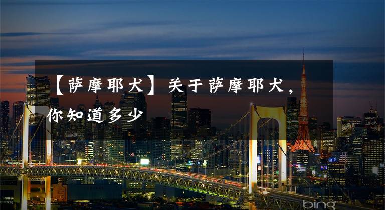 【萨摩耶犬】关于萨摩耶犬,你知道多少