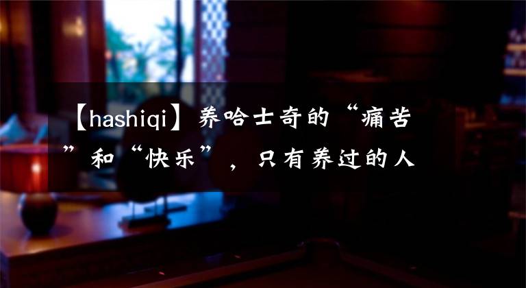 【hashiqi】养哈士奇的“痛苦”和“快乐”,只有养过的人懂
