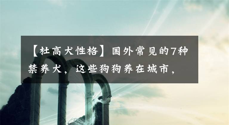 【杜高犬性格】国外常见的7种禁养犬，这些狗狗养在城市，不训练好容易咬人