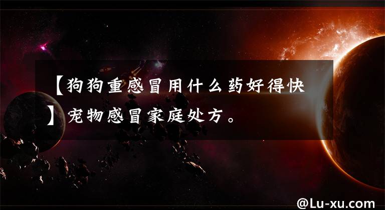 【狗狗重感冒用什么药好得快】宠物感冒家庭处方。