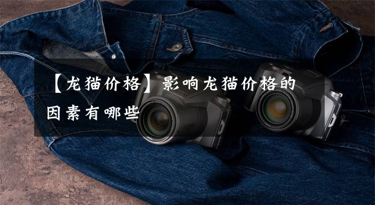 【龙猫价格】影响龙猫价格的因素有哪些