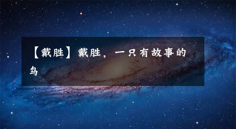 【戴胜】戴胜,一只有故事的鸟