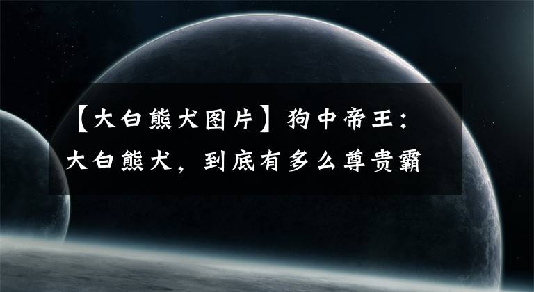【大白熊犬图片】狗中帝王：大白熊犬，到底有多么尊贵霸气