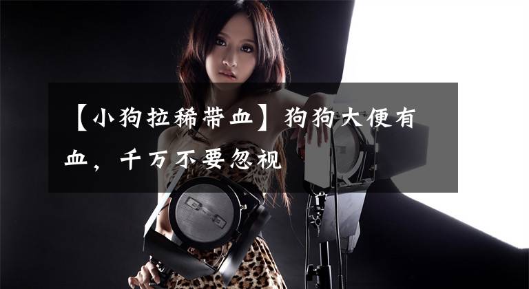 【小狗拉稀带血】狗狗大便有血，千万不要忽视