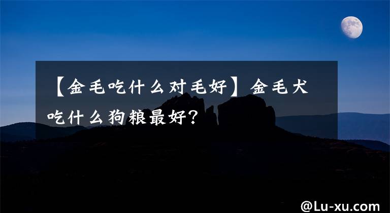 【金毛吃什么对毛好】金毛犬吃什么狗粮最好？