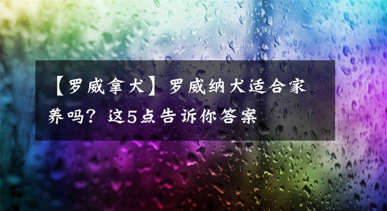 【罗威拿犬】罗威纳犬适合家养吗?这5点告诉你答案